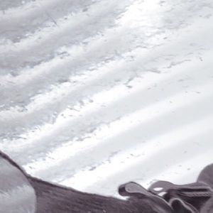 Meet your Posher, Jennie